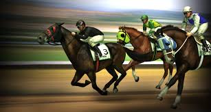  Free horse racing predictions tips for today